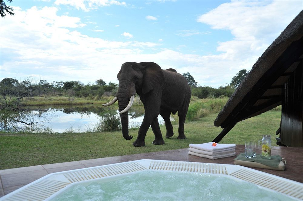 Three Cities Thorntree River Lodge ลิฟวิงสโตน ภายนอก รูปภาพ