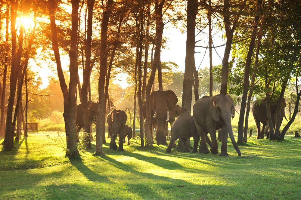 Three Cities Thorntree River Lodge ลิฟวิงสโตน ภายนอก รูปภาพ
